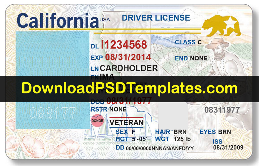 blank driver license template download